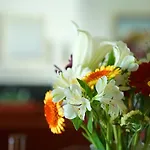 Seguinot * 波连斯萨