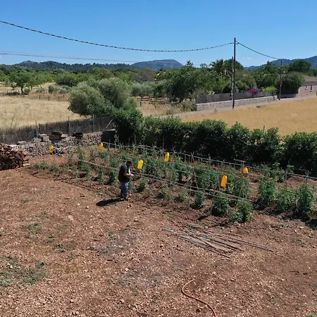 Seguinot Вілла *