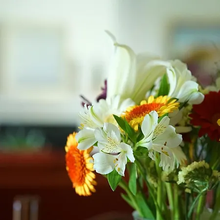 Seguinot * Польєнса